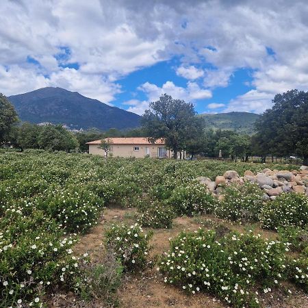Domaine U Filanciu - Casa Chiara - Centru Di Corsica Villa Moltifao Екстериор снимка