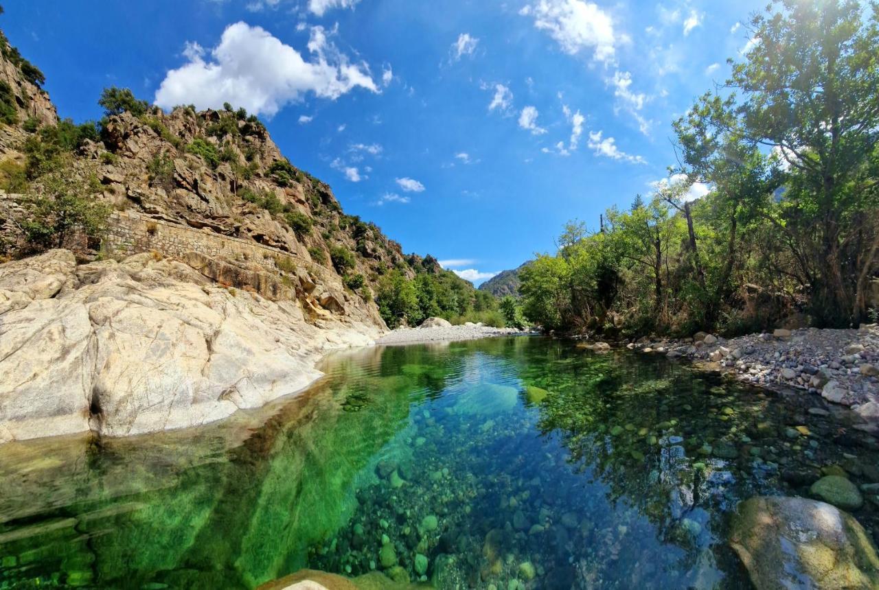 Domaine U Filanciu - Casa Chiara - Centru Di Corsica Villa Moltifao Екстериор снимка